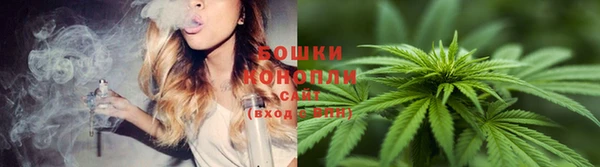 спайс Верея