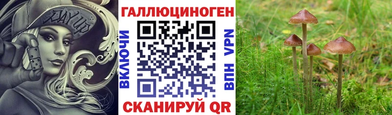 продажа наркотиков  OMG как войти  Галлюциногенные грибы Psilocybine cubensis  Троицк 