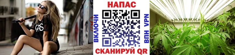 Каннабис AK-47  купить наркотики цена  mega сайт  Троицк 